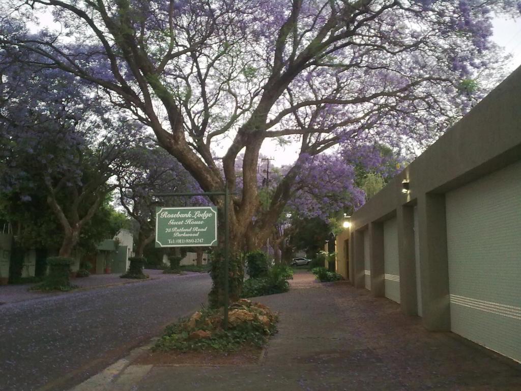 Rosebank Lodge Guesthouse By Claires Johannesbourg Chambre photo