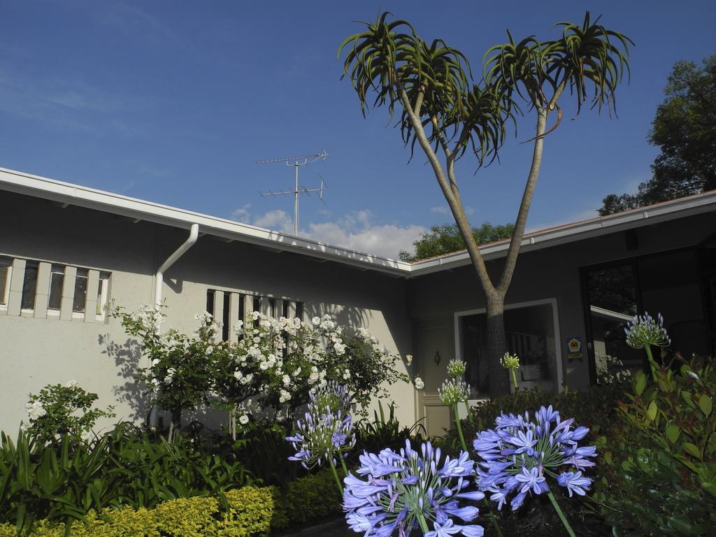 Rosebank Lodge Guesthouse By Claires Johannesbourg Extérieur photo